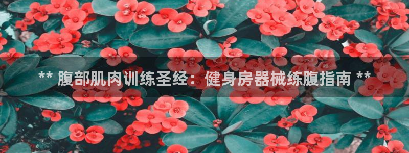 尊龙凯时是哪个国家的：** 腹部肌肉训练圣经：健身房
