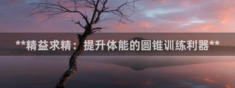 凯时尊龙官网网址：**精益求精：提升体能的圆锥训练利