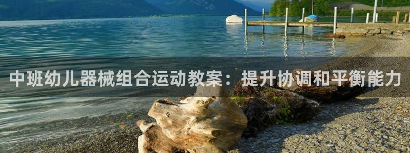 旧版尊龙人生就是博下载：中班幼儿器械组合运动教案：提