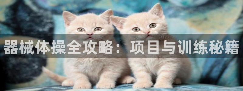 ZL尊龙凯时平台：器械体操全攻略：项目与训练秘籍