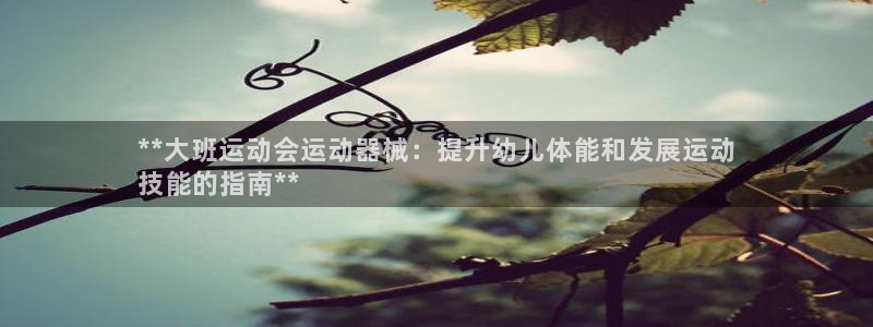 凯时k8官网首页：**大班运动会运动器械：提升幼儿体