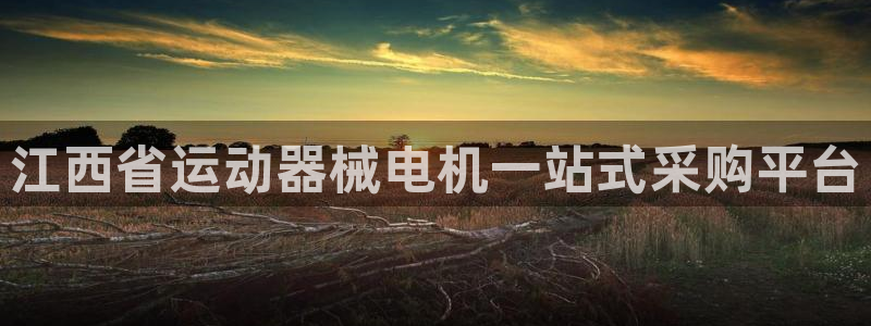 尊龙凯时用户名m：江西省运动器械电机一站式采购平台
