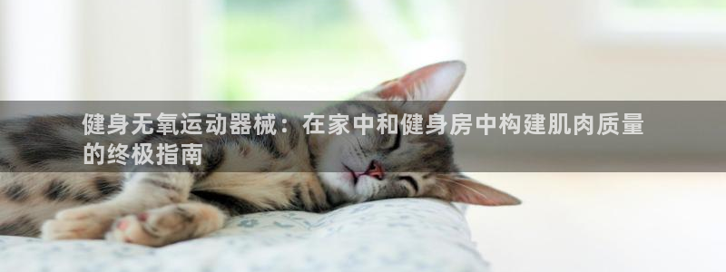 尊龙长相评价：健身无氧运动器械：在家中和健身房中构建