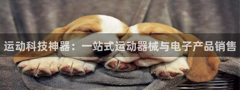 尊龙z6官网：运动科技神器：一站式运动器械与电子产品