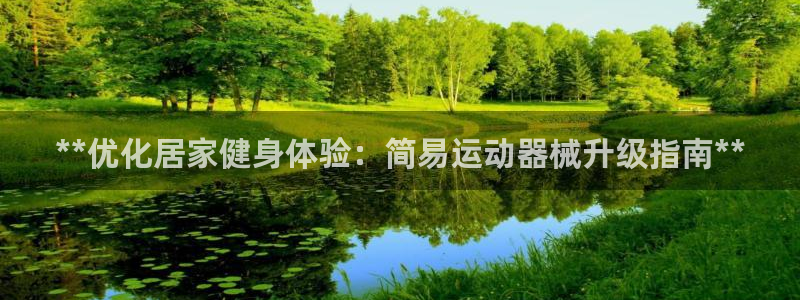 Z6尊龙老版：**优化居家健身体验：简易运动器械升级