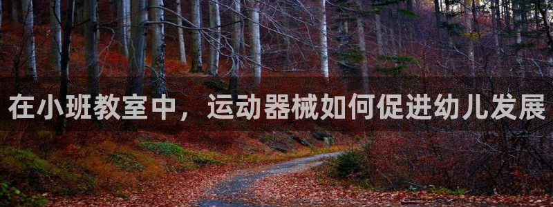 凯时平台官网RA来就送38：在小班教室中，运动器械如