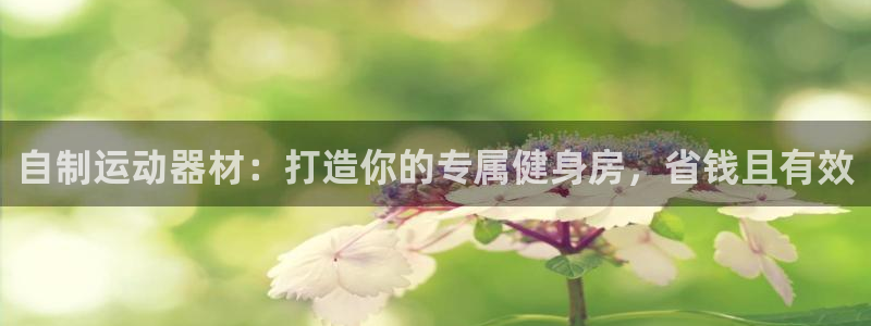 尊龙旗舰店：自制运动器材：打造你的专属健身房，省钱且