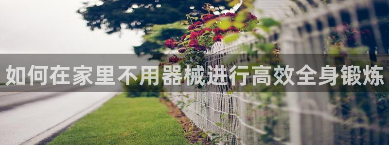 z6尊龙官网：如何在家里不用器械进行高效全身锻炼