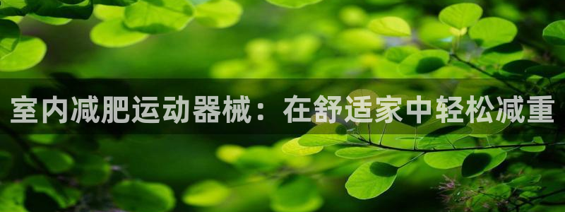尊龙凯时台子：室内减肥运动器械：在舒适家中轻松减重