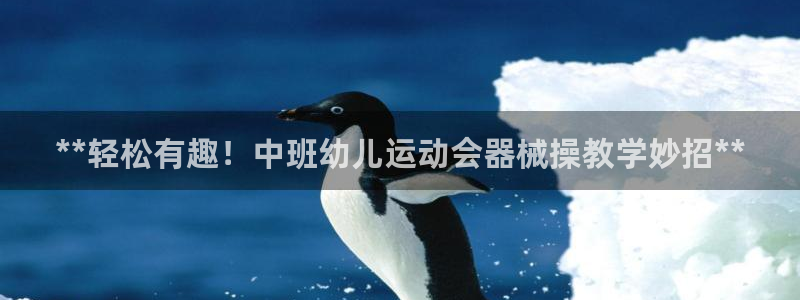 凯时app官网首页：**轻松有趣！中班幼儿运动会器械