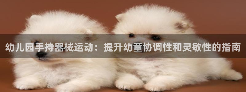 尊龙人生就是博ag旗舰厅：幼儿园手持器械运动：提升幼