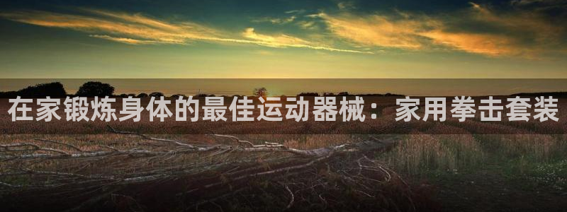 凯时app官网首页：在家锻炼身体的最佳运动器械：家用