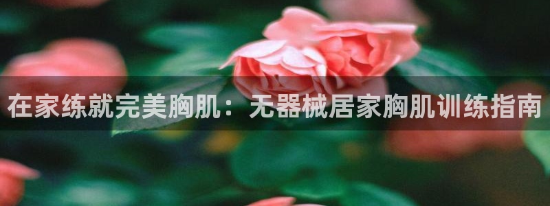 尊龙凯时人生就是博·(中国)官网：在家练就完美胸肌：