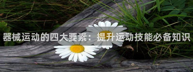 尊龙凯时平台官网：器械运动的四大要素：提升运动技能必