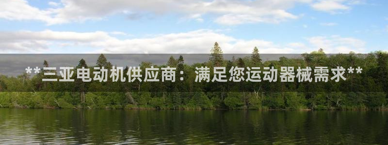 尊龙凯时app官网：**三亚电动机供应商：满足您运动