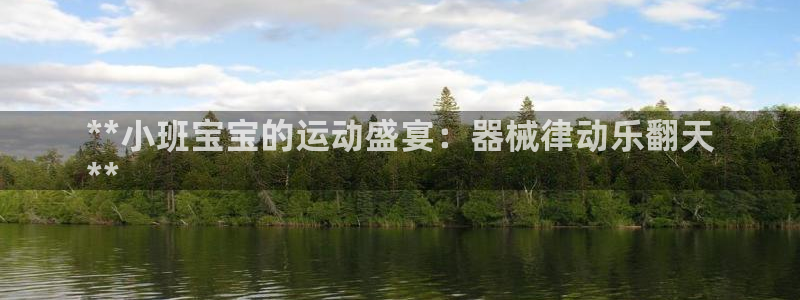 凯时kb88官方：**小班宝宝的运动盛宴：器械律动乐