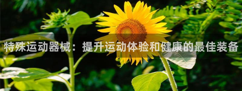 尊龙人生就是博官方官网：特殊运动器械：提升运动体验和