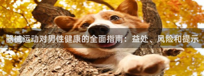 尊龙凯时平台还是万搏好：器械运动对男性健康的全面指南