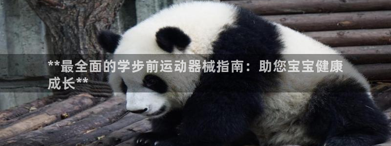 尊龙凯时官网网页版：**最全面的学步前运动器械指南：