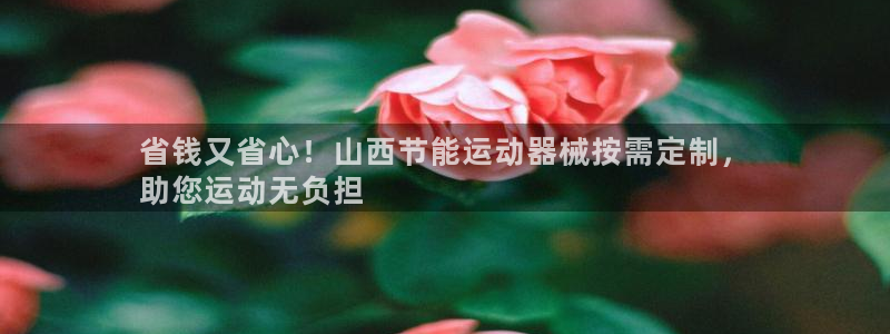 尊龙官网手机版下载：省钱又省心！山西节能运动器械按需