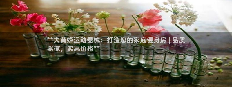 d88尊龙手机登录下载：**大黄蜂运动器械：打造您的