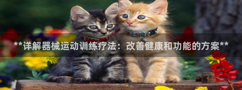凯时国际app首页登录：**详解器械运动训练疗法：改