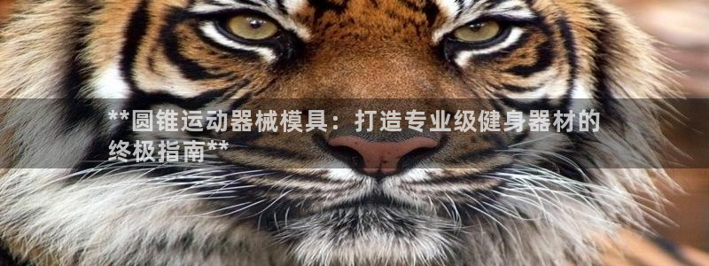 尊龙服饰品牌介绍：**圆锥运动器械模具：打造专业级健