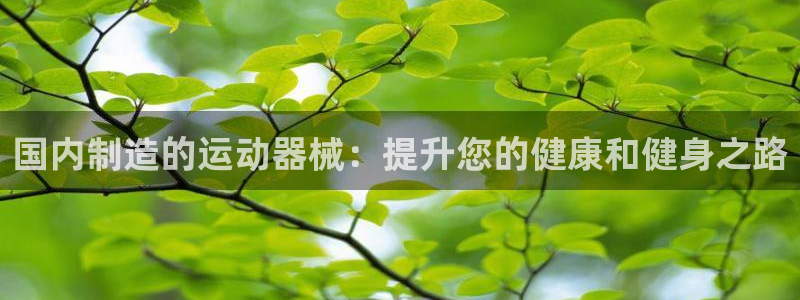 尊龙一人生就是博电子游戏：国内制造的运动器械：提升您