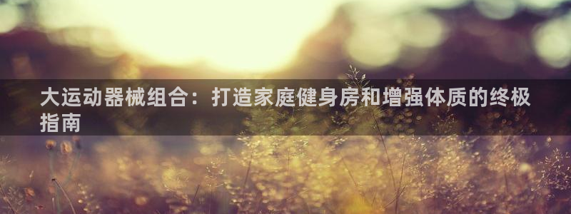 尊龙凯时充十万返现多少：大运动器械组合：打造家庭健身