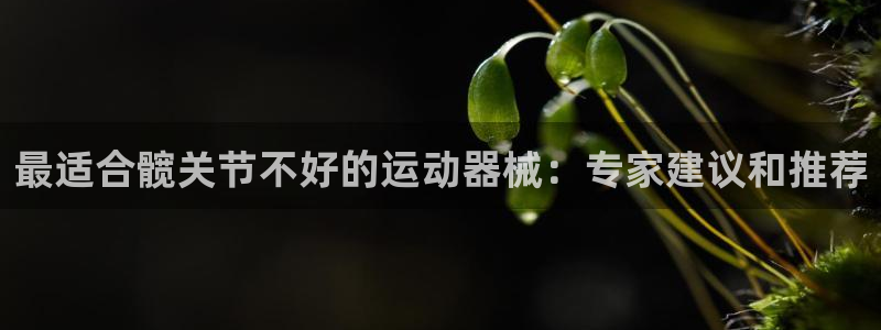 尊龙凯时取款有要求吗：最适合髋关节不好的运动器械：专