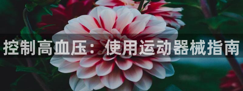 尊龙人生就是博d88官方网站：控制高血压：使用运动器