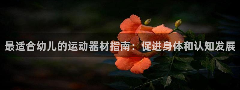 尊龙官方网站最新版V9.3.06介绍：最适合幼儿的运