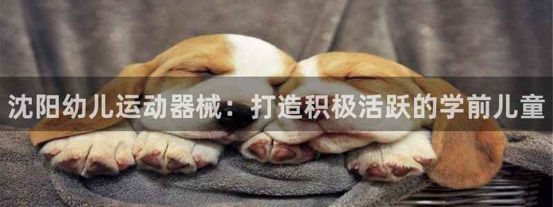 尊龙-人生就是博!：沈阳幼儿运动器械：打造积极活跃的