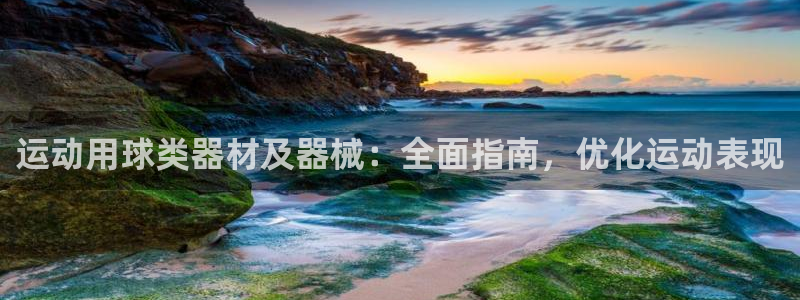 尊龙下载推荐网站：运动用球类器材及器械：全面指南，优