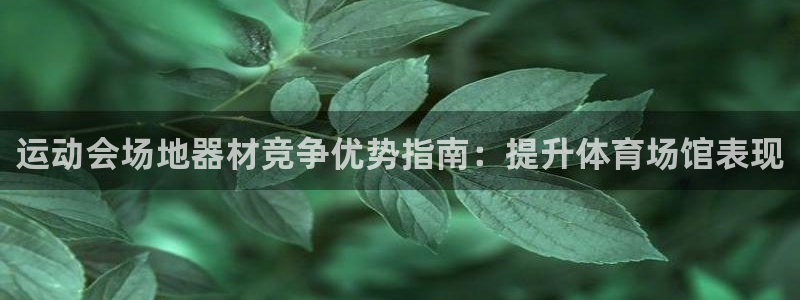 尊龙凯时麻将胡了：运动会场地器材竞争优势指南：提升体