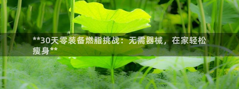 尊龙凯时官网平台：**30天零装备燃脂挑战：无需器械