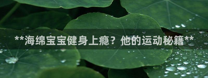尊龙500价格：**海绵宝宝健身上瘾？他的运动秘籍*