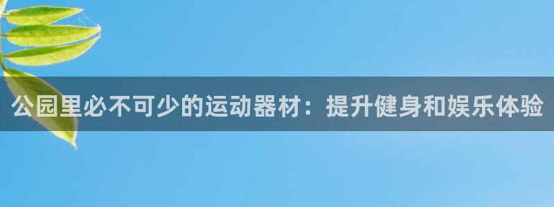 尊龙凯时台子：公园里必不可少的运动器材：提升健身和娱