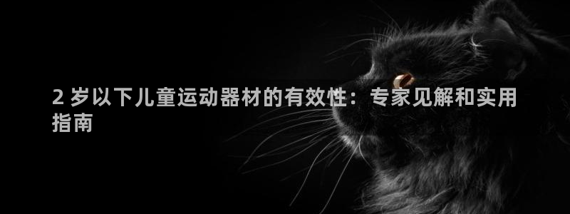 尊龙t500和t300区别：2 岁以下儿童运动器材的
