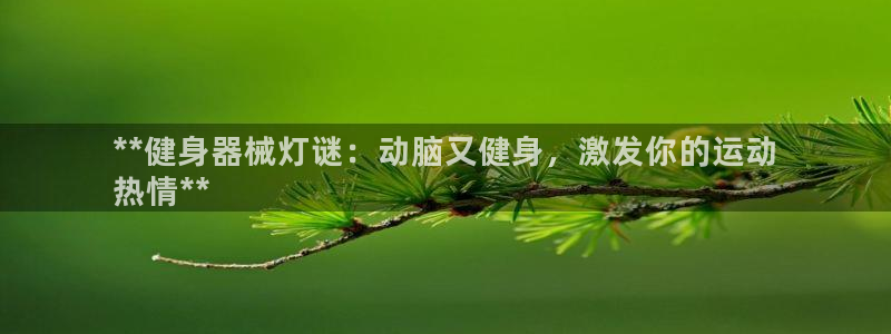 凯时国际app首页：**健身器械灯谜：动脑又健身，激