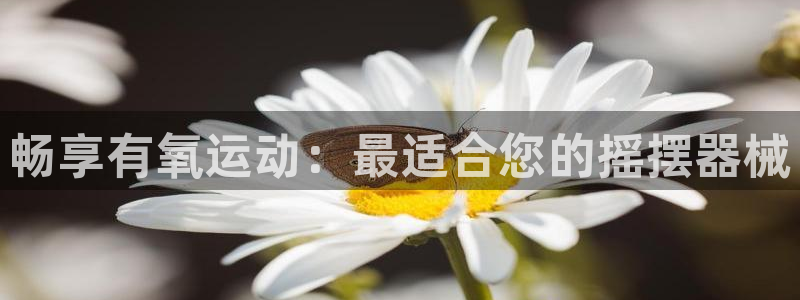 尊龙凯时 人生就是搏 平台：畅享有氧运动：最适合您的