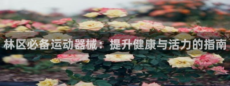 尊龙coming to my own：林区必备运动器