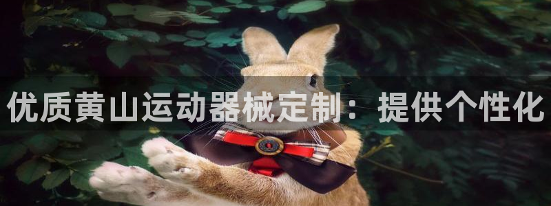 尊龙体育游戏平台：优质黄山运动器械定制：提供个性化