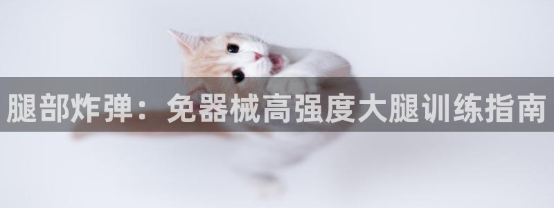 尊龙官网/首选kpm：腿部炸弹：免器械高强度大腿训练
