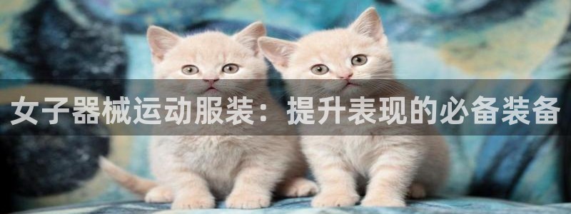 下载尊龙app：女子器械运动服装：提升表现的必备装备