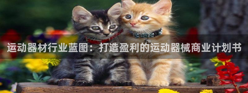 尊龙网址是选访问zd207：运动器材行业蓝图：打造盈