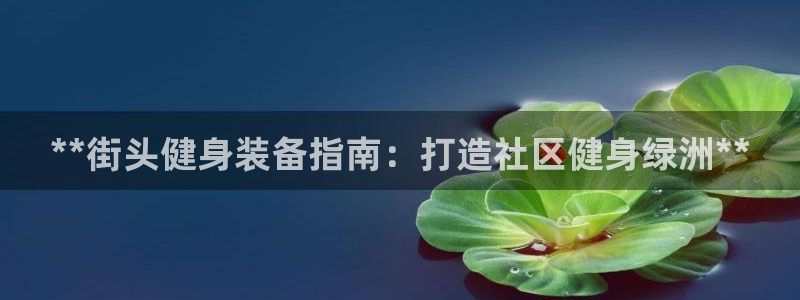 尊龙凯时人生就博官网登录：**街头健身装备指南：打造