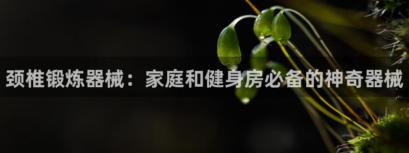尊龙d88官网选RA来就送38：颈椎锻炼器械：家庭和