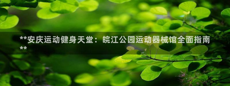 尊龙多少岁：**安庆运动健身天堂：皖江公园运动器械馆