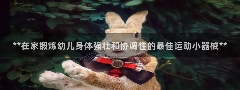 尊龙公司：**在家锻炼幼儿身体强壮和协调性的最佳运动